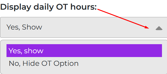 Display Daily OT hours setting